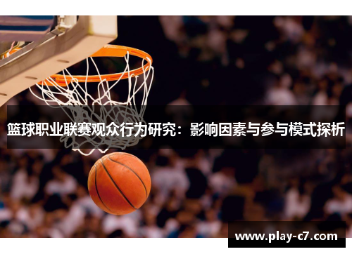 篮球职业联赛观众行为研究：影响因素与参与模式探析