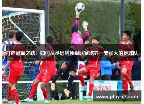 打造冠军之路：如何从基层到顶级联赛培养一支强大的足球队