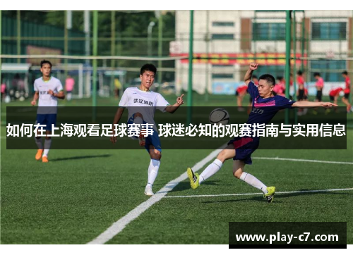 如何在上海观看足球赛事 球迷必知的观赛指南与实用信息