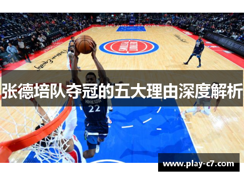 张德培队夺冠的五大理由深度解析
