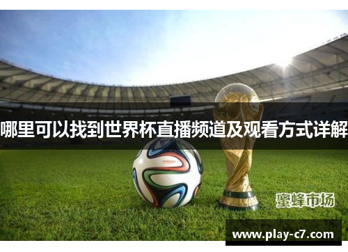 哪里可以找到世界杯直播频道及观看方式详解