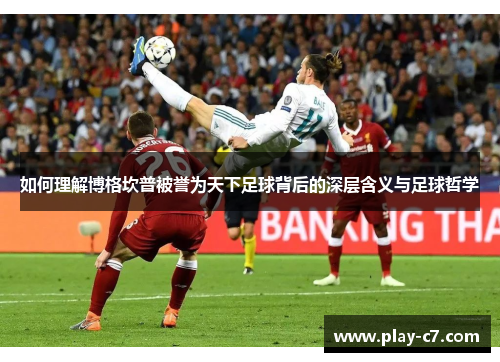 如何理解博格坎普被誉为天下足球背后的深层含义与足球哲学