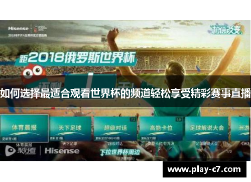 如何选择最适合观看世界杯的频道轻松享受精彩赛事直播