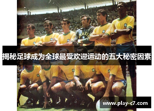 揭秘足球成为全球最受欢迎运动的五大秘密因素