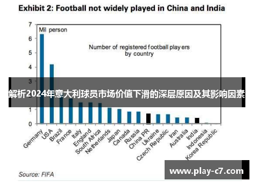 解析2024年意大利球员市场价值下滑的深层原因及其影响因素