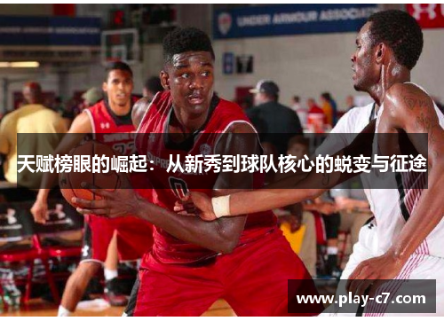 天赋榜眼的崛起：从新秀到球队核心的蜕变与征途